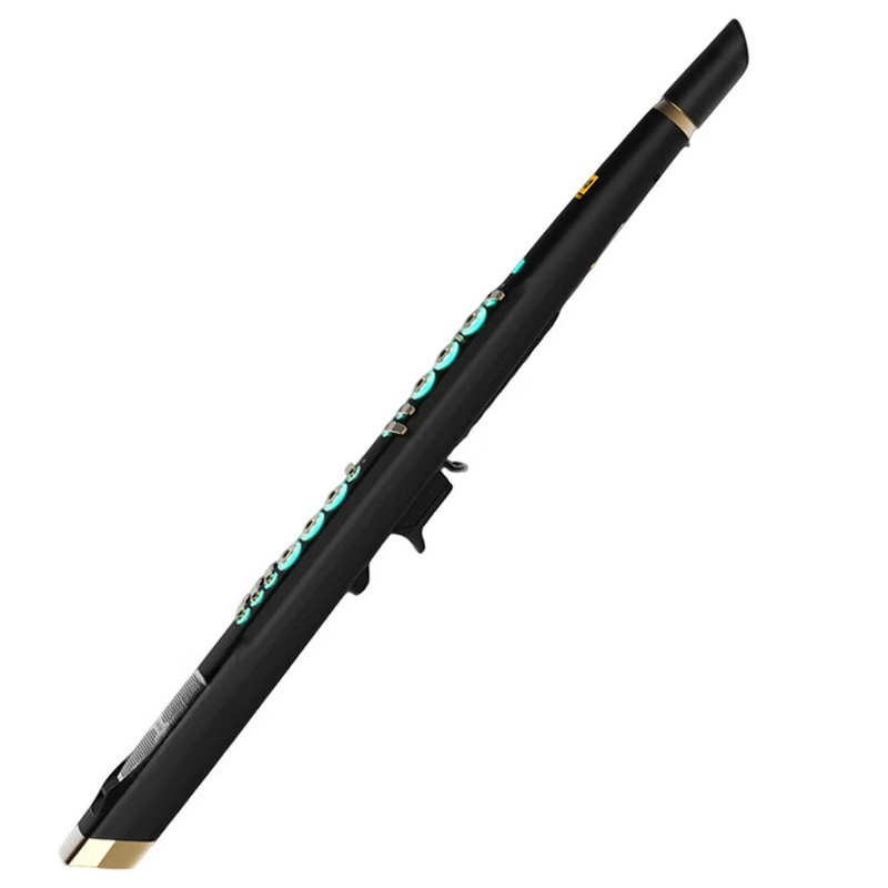C20 true sampling domestic hig - Musical Instrument You Blow Into recension och pris