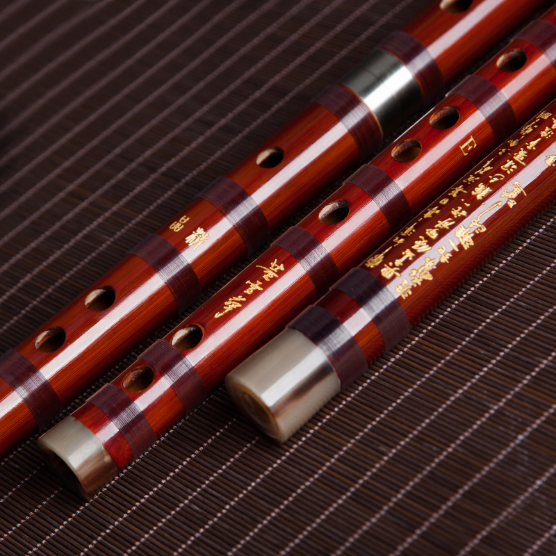 Dong Xuehua 8885 Bamboo Flute  - Musical Instrument Sign recension och pris