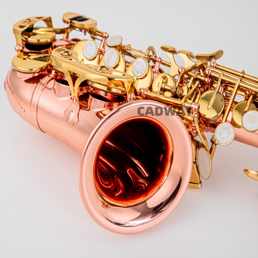 Japan Saxophone Soprano  B fla - Musical Instrument Japan recension och pris